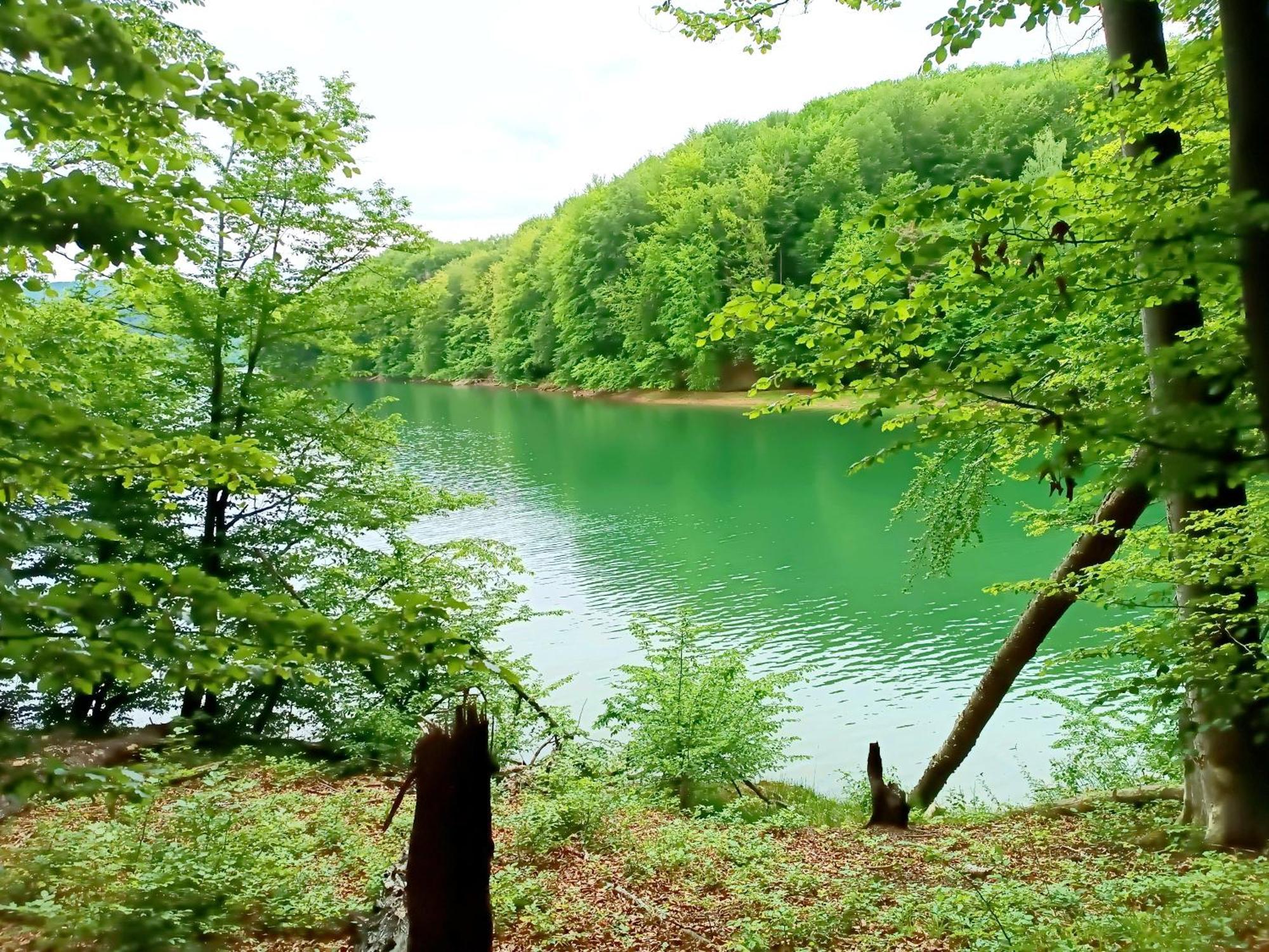 Bieszczadzka Pauza Vila Polańczyk Exterior foto